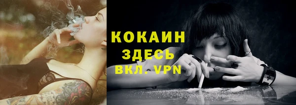 МДПВ Абаза